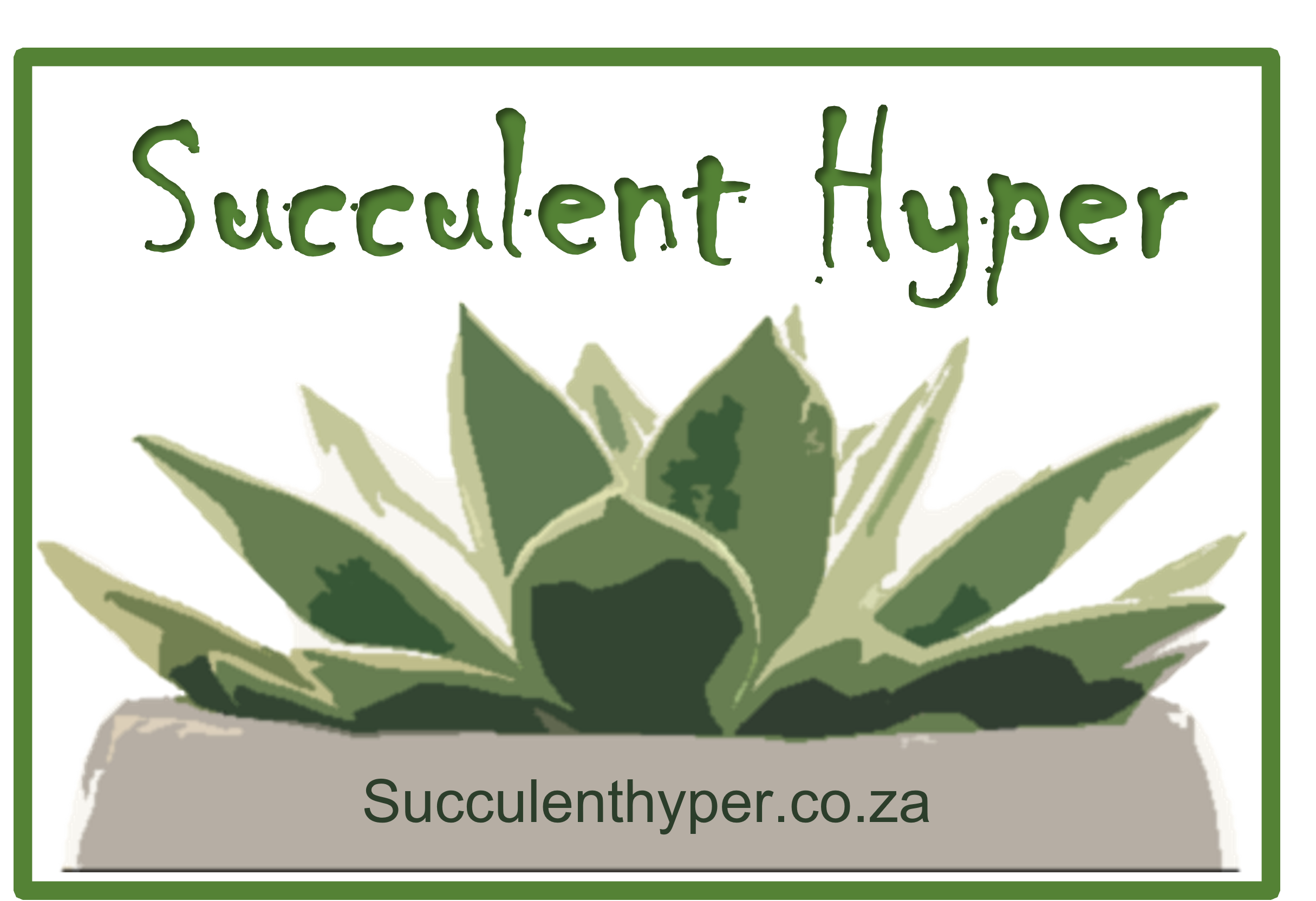 Succulent Hyper